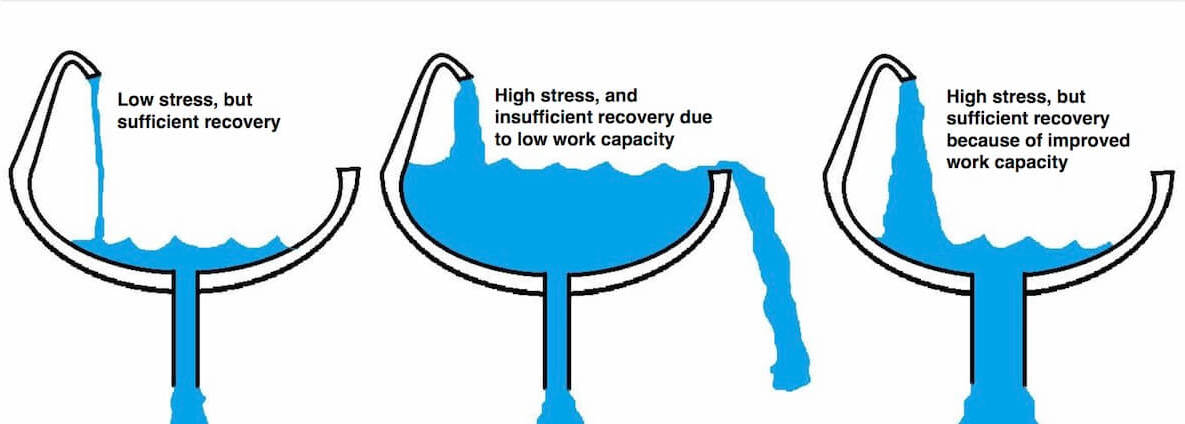 Stress-Recovery-and-Work-Capacity-Sink-A